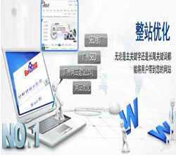 東莞市米可信息技術有限公司 一站式網絡營銷解決方案的領航者